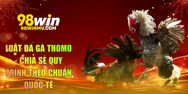luật đá gà thomo
